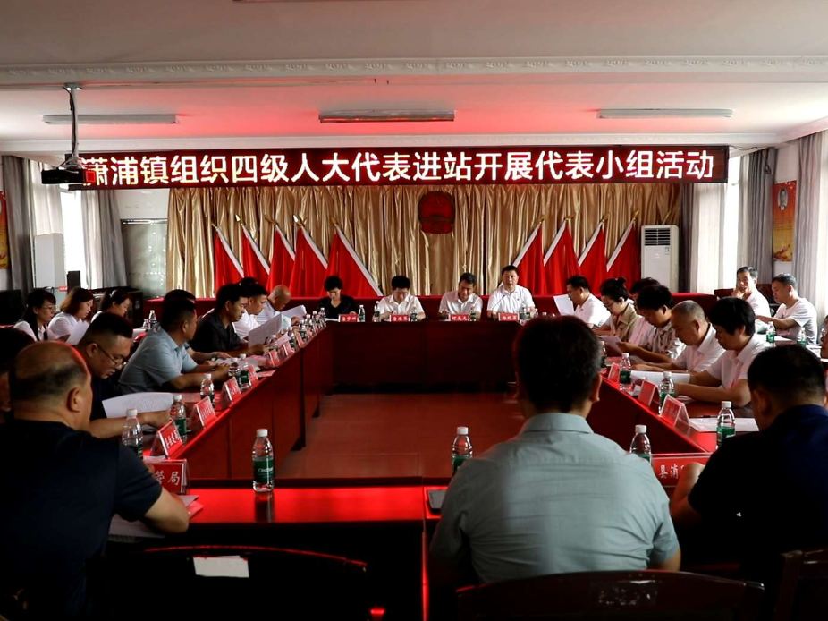 江永：唐德荣参加潇浦镇四级人大代表进站小组活动