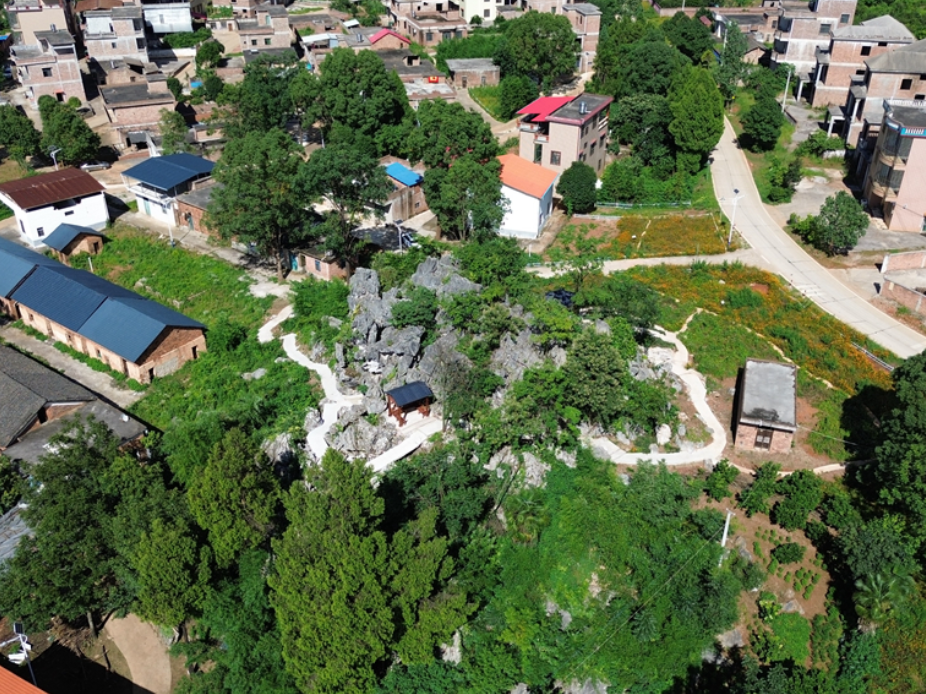 新田：闲置资源巧利用 乡村焕发新活力