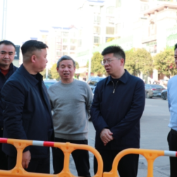 东安：蒋华调研城建项目建设工作