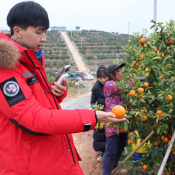 从冠军热度到助农情怀:永州湘超夺冠引江苏博主“跨界”奔赴新田