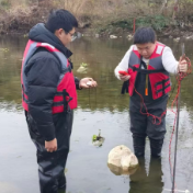 元旦我在岗 永州水文守安澜