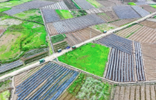 新田：多彩田园如画卷