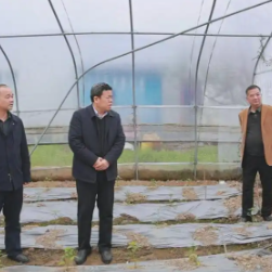 永州丨刘厚到冷水滩督导调研现代农业工作