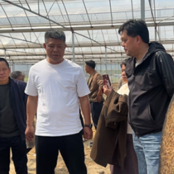 蓝山:送技下乡到田间 解锁粮食增产“密码”