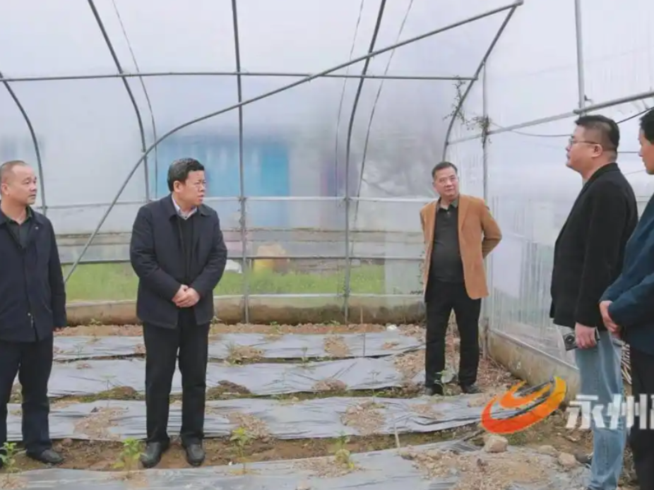 永州丨刘厚到冷水滩督导调研现代农业工作