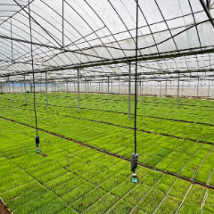 江永：智能育秧提质提速 田保姆护航早稻生产