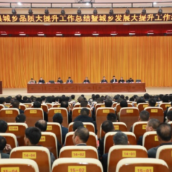 新田县召开城乡品质大提升工作总结暨城乡发展大提升工作动员会