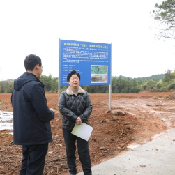 东安:张波到鹿马桥镇调研粮食生产工作