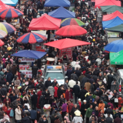 东安:春社启幕 烟火民俗绘就春日盛景