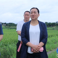 蓝山：邓群调研农村集体“三资”管理暨高标准农田建设突出问题整治工作