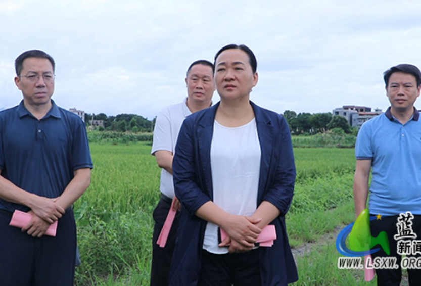 蓝山：邓群调研农村集体“三资”管理暨高标准农田建设突出问题整治工作