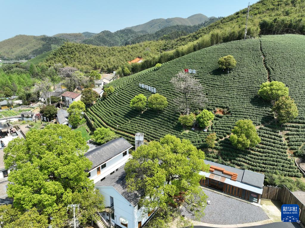 微信图片_20251021092435.png 微信图片_20251021092435.png