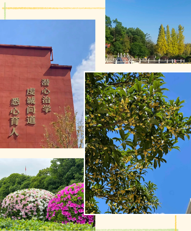 微信图片_20251023155200.png 微信图片_20251023155200.png