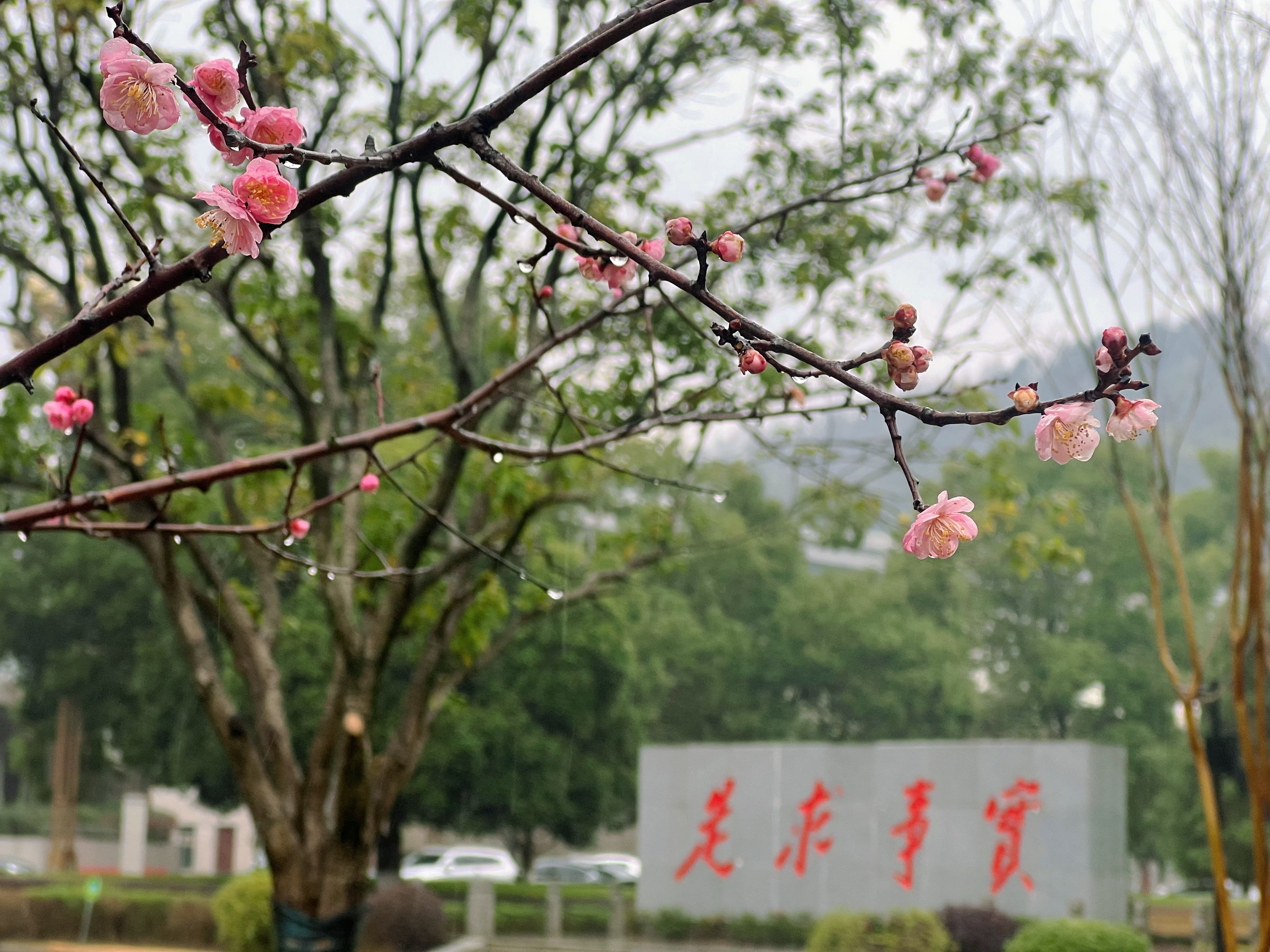 微信图片_20250217142758.jpg