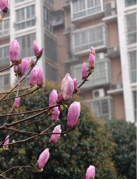 微信图片_20250403181330.png