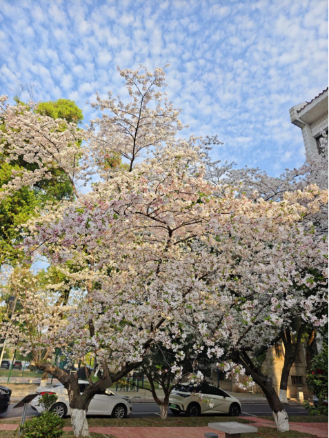 微信图片_20250403181317.png