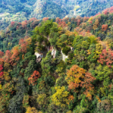 岁暖时刻丨藏在张家界的秘境！四十八寨层林尽染，这斑斓山色谁看了不心动