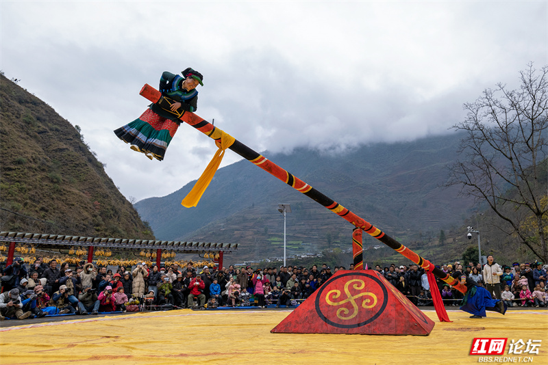 11月22日,吉米镇正在进行的“磨尔秋”比赛,吸引着四面八方的群众和外地游客。“磨尔秋”是流行于四川省甘洛县彝族地区的传统体育活动,彝语称“格丛”。该项目2009年列入四川省非物质文化遗产名录,2024年入选全国少数民族传统体育运动会表演项目,成为彝族文化对外展示的重要符号。.jpg