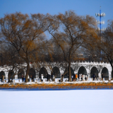 颐和园的雪，分两种：落在瓦上的，和落在心上的
