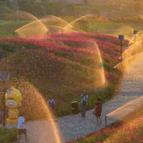 怀化版“莫奈花园”上线！湖天小游园承包整个秋天的浪漫