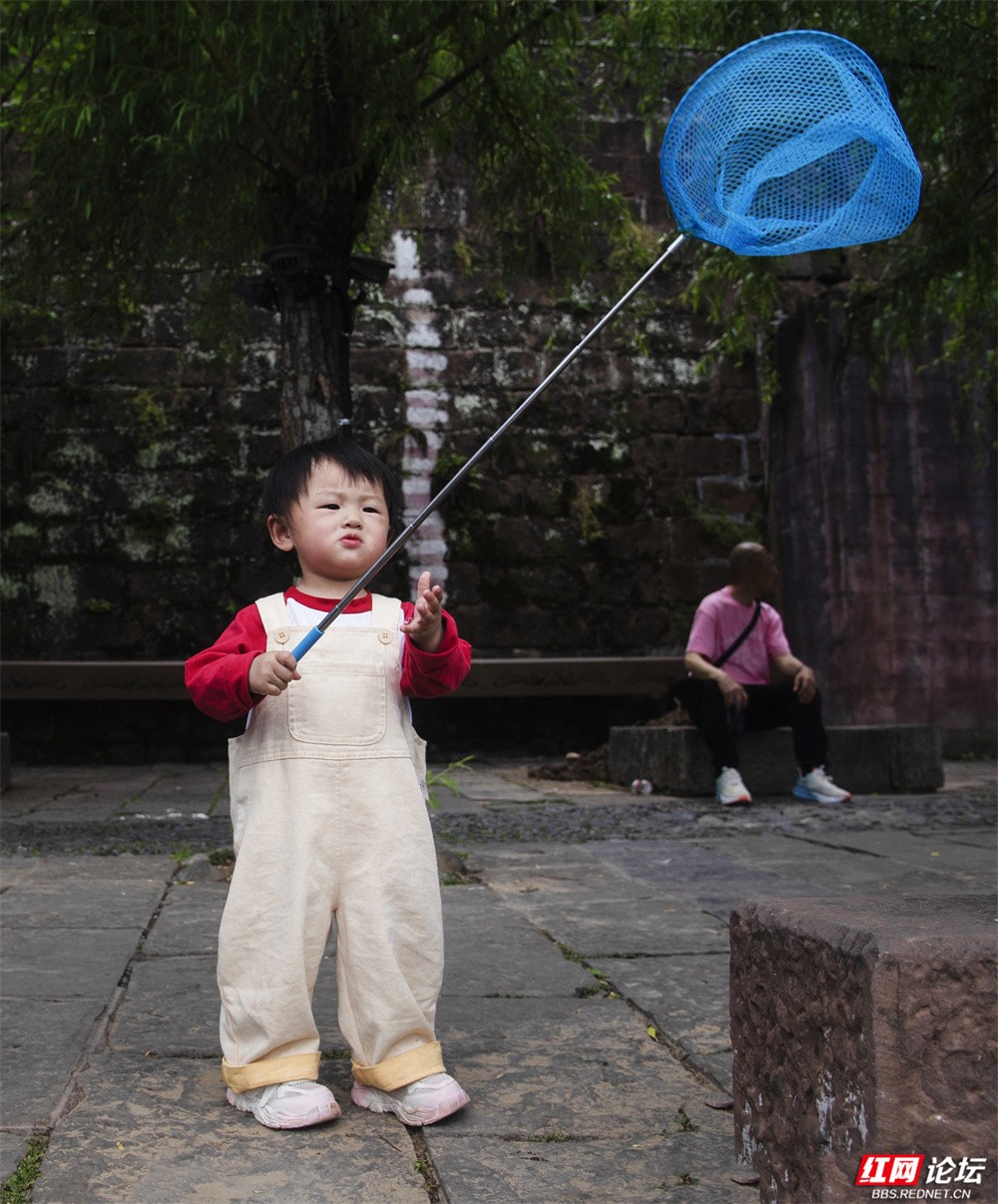 nEO_IMG_4月 图说:《我虽小,我也能》2025年4月19日,拍摄于凤凰沱江边上,我1岁半的孙女模仿大人玩捞鱼。 DSC_7844.jpg