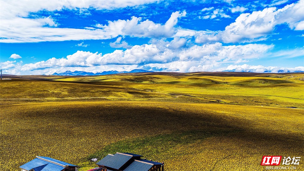 nEO_IMG_9月 图说:《醉美大草原》2025年9月29日拍摄于甘肃省陇南地区DJI_20250929151055_0014_D.jpg