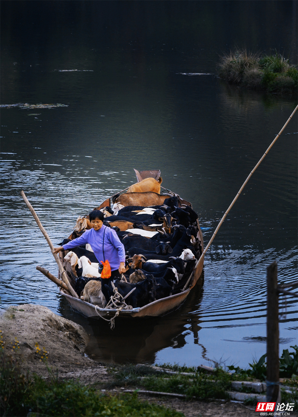 nEO_IMG_微信图片_20260107160709_38_3043.jpg nEO_IMG_微信图片_20260107160709_38_3043.jpg