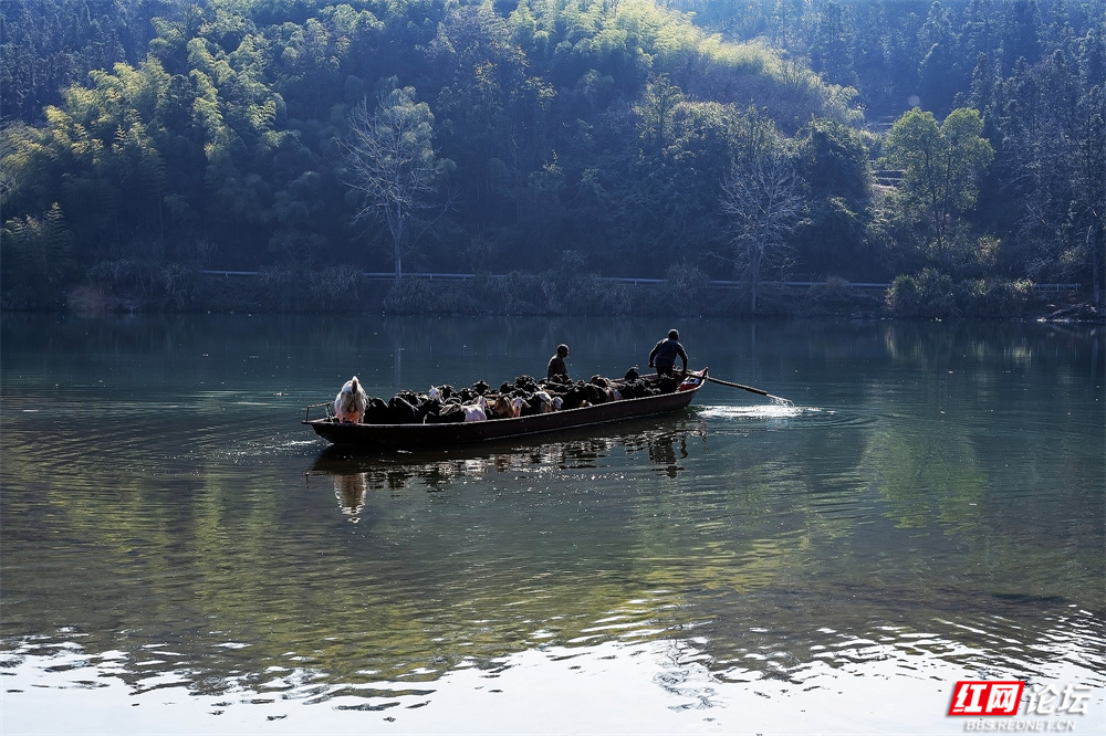 nEO_IMG_微信图片_20260107160639_35_3043.jpg nEO_IMG_微信图片_20260107160639_35_3043.jpg