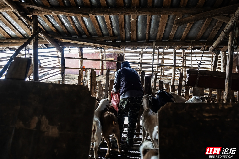 nEO_IMG_微信图片_20260107160617_33_3043.jpg nEO_IMG_微信图片_20260107160617_33_3043.jpg