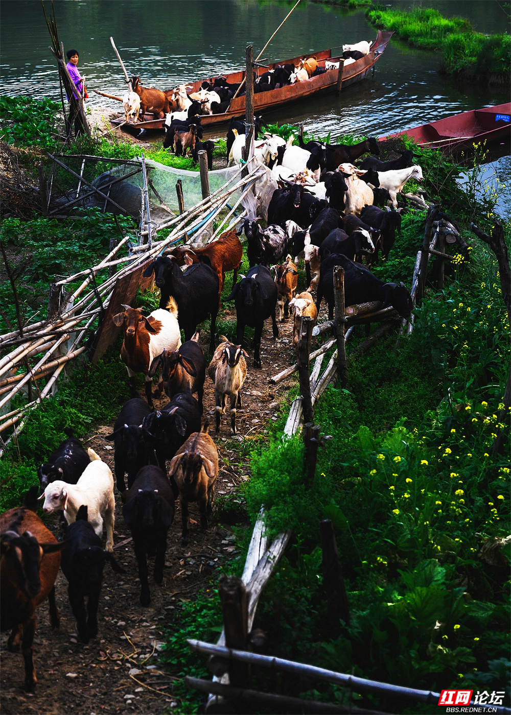 nEO_IMG_微信图片_20260107160724_40_3043.jpg nEO_IMG_微信图片_20260107160724_40_3043.jpg