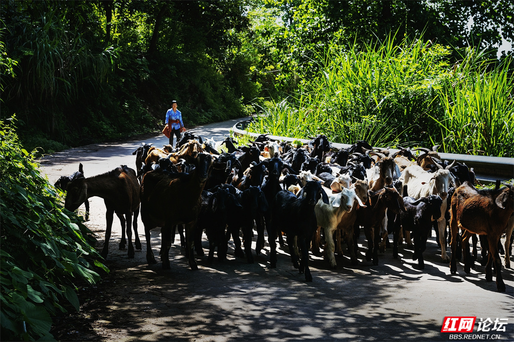 nEO_IMG_微信图片_20260107160647_36_3043.jpg nEO_IMG_微信图片_20260107160647_36_3043.jpg