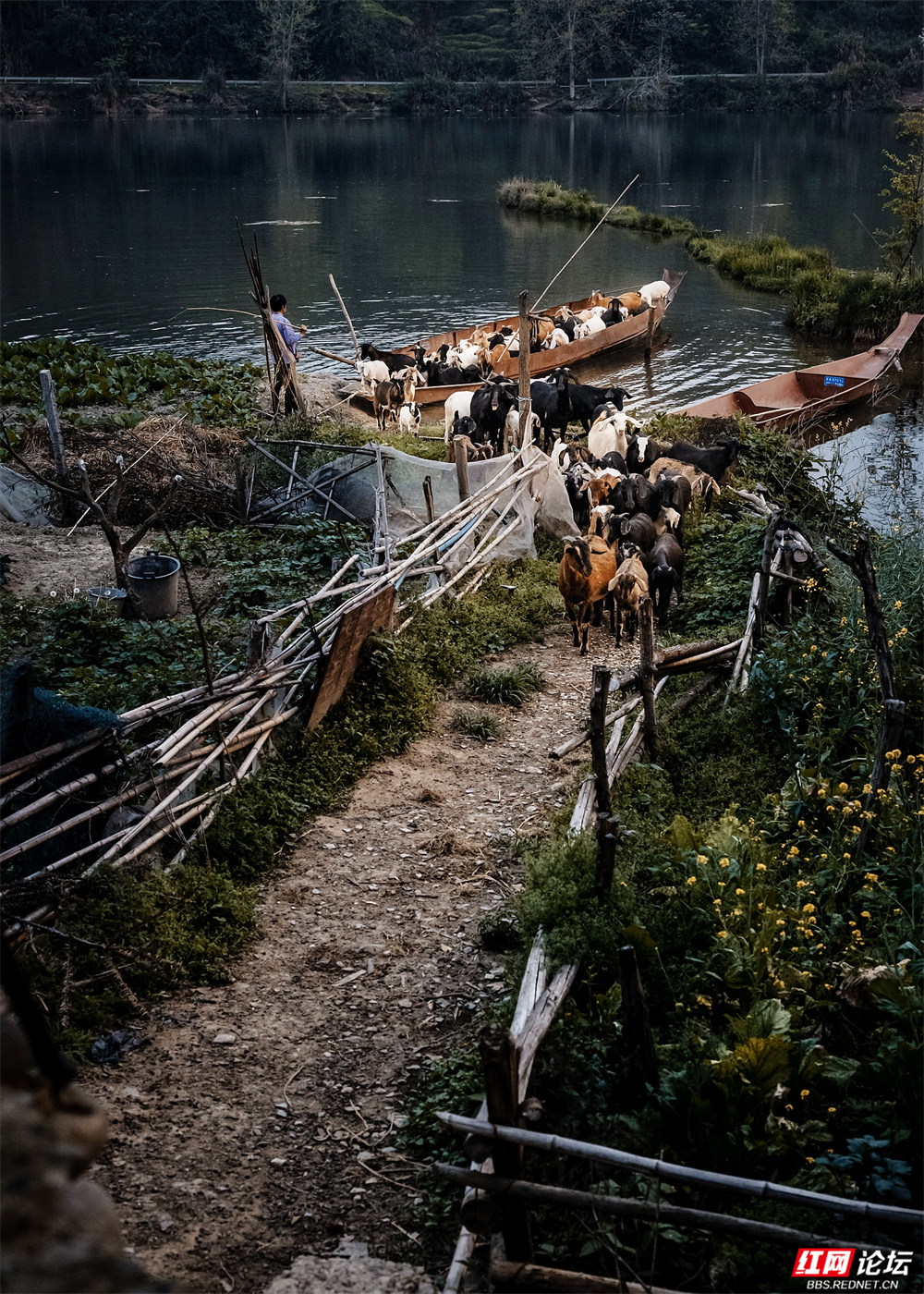 nEO_IMG_微信图片_20260107160717_39_3043.jpg nEO_IMG_微信图片_20260107160717_39_3043.jpg