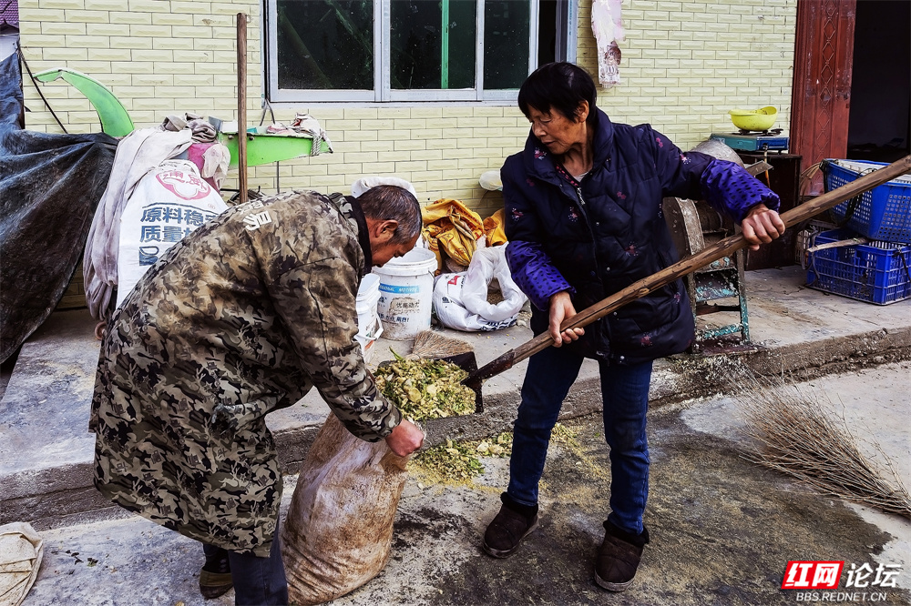 nEO_IMG_微信图片_20260107160554_31_3043.jpg nEO_IMG_微信图片_20260107160554_31_3043.jpg