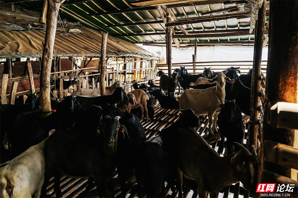 nEO_IMG_微信图片_20260107160605_32_3043.jpg nEO_IMG_微信图片_20260107160605_32_3043.jpg