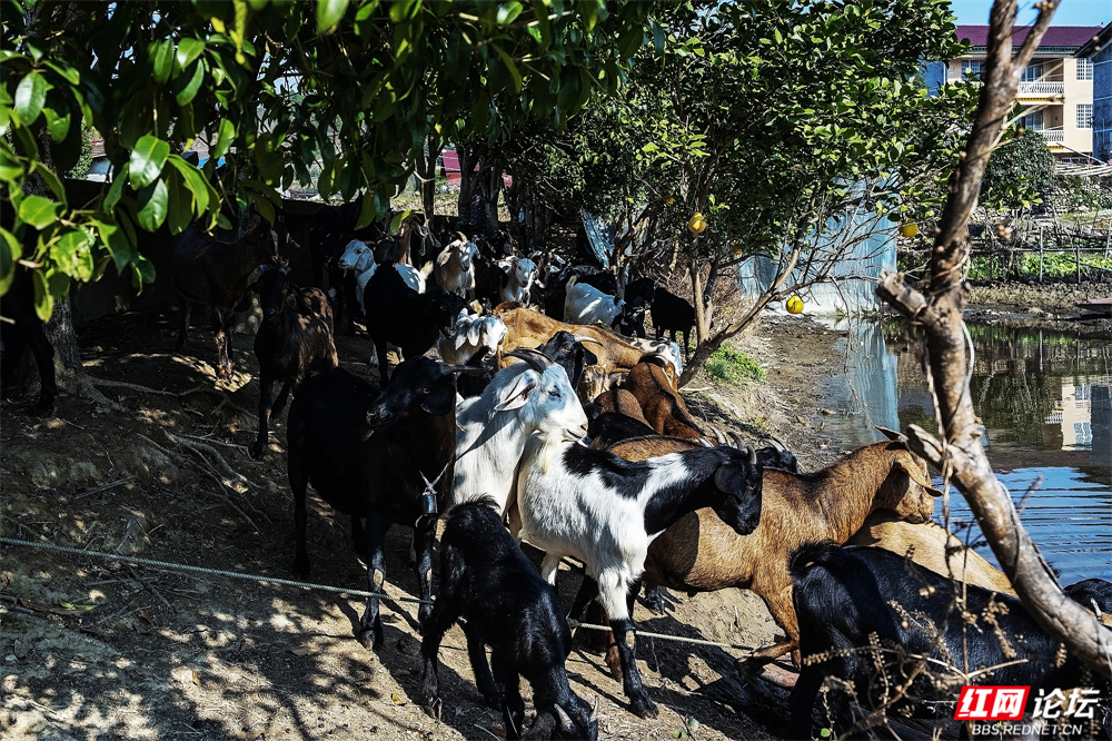 nEO_IMG_微信图片_20260107160629_34_3043.jpg nEO_IMG_微信图片_20260107160629_34_3043.jpg