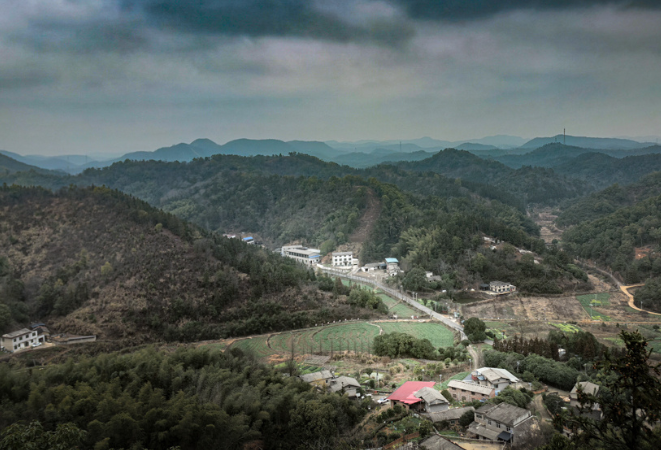 【赴春之约】雨水润物，春已发生