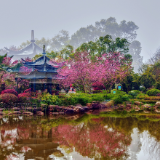 【赴春之约】株洲烈士纪念园：不只有庄严，还有被春天灌满的温柔