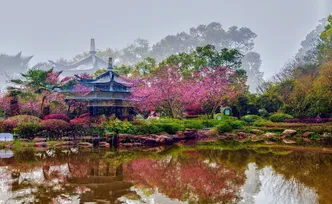 【赴春之约】株洲烈士纪念园：不只有庄严，还有被春天灌满的温柔