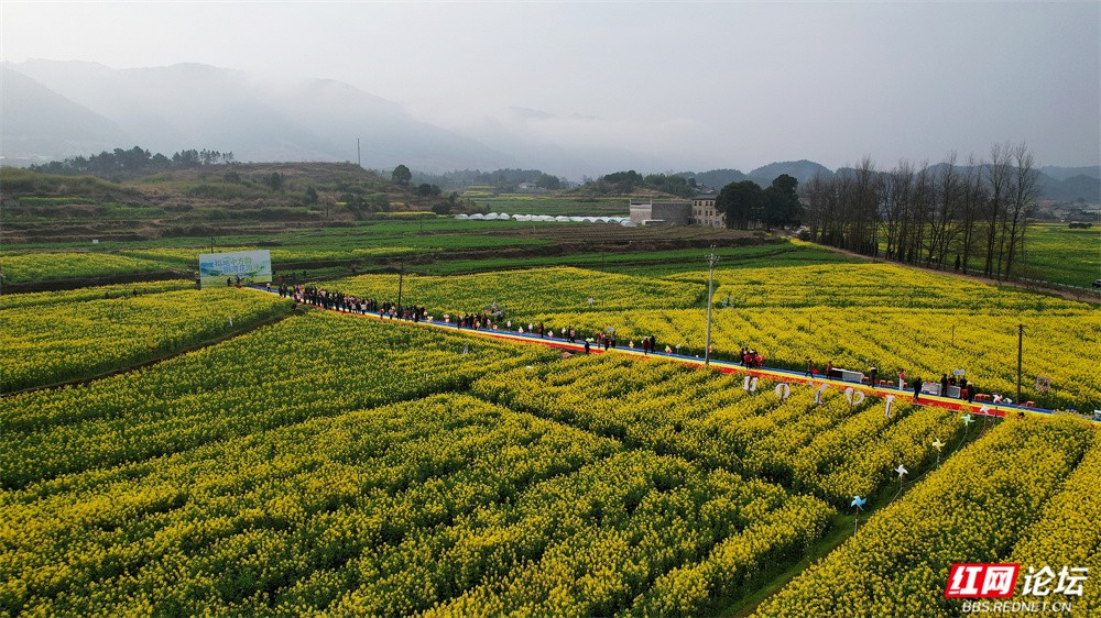 nEO_IMG_1【铜湾第二届音乐迎春】曾挟山 .jpg