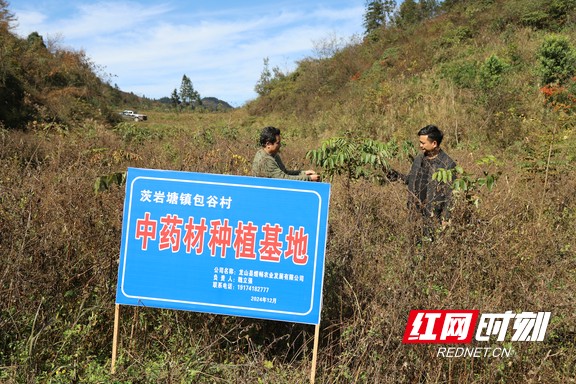 微信图片_20251121154720.marked.jpg 微信图片_20251121154720.marked.jpg