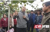 凤凰县新场镇：猕猴桃技术培训 百余名余果农充电赋能