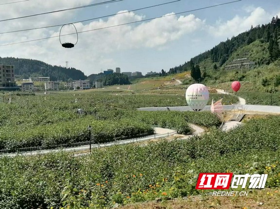 图片9.marked.jpg 图片9.marked.jpg