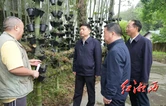刘涛在凤凰县调研时强调：当好湘西旅游产业发展龙头 加快打造国内外享有盛名的旅游目的地