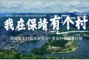 红视频｜“我在保靖有个村”——保靖县乡村振兴合伙人·专业村长招募计划等你来参加