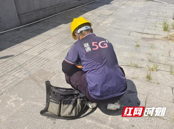 图片15.marked.jpg