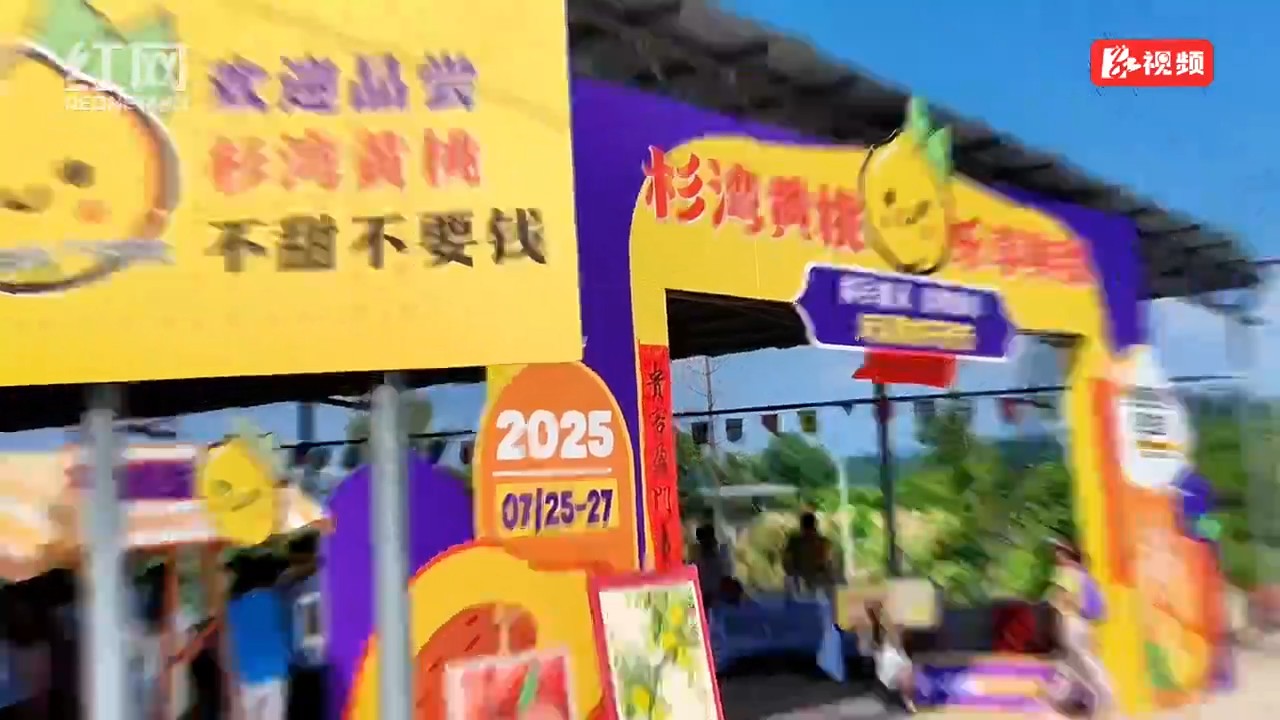 吉首市铁岩村300亩黄桃大丰收