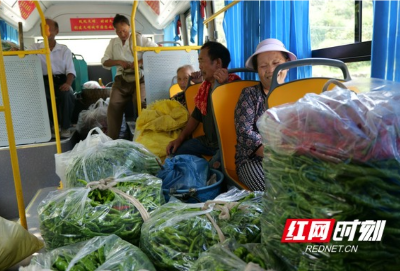 吉首市高海拔苗寨菜农有了“卖菜公交专线”