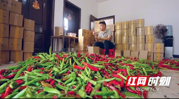 图片14.marked.jpg