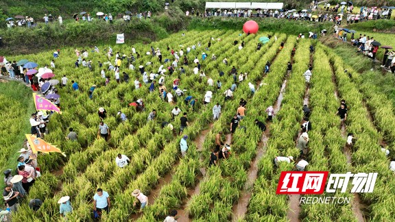 图片16.marked.jpg