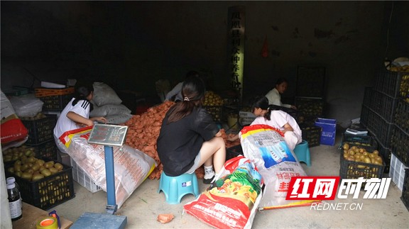 图片9.marked.jpg